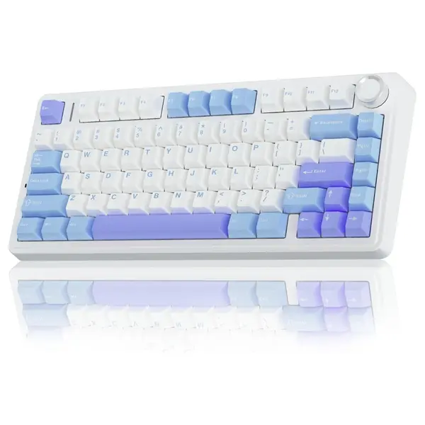 AULA F75 75% Wireless Mechanical Keyboard, Tri-Mode 2.4GHz USB-C and BT5.0, Hot Swappable 3-Pin and 5-Pin, 16.8 Million RGB Backlit, White and Blue and Purple